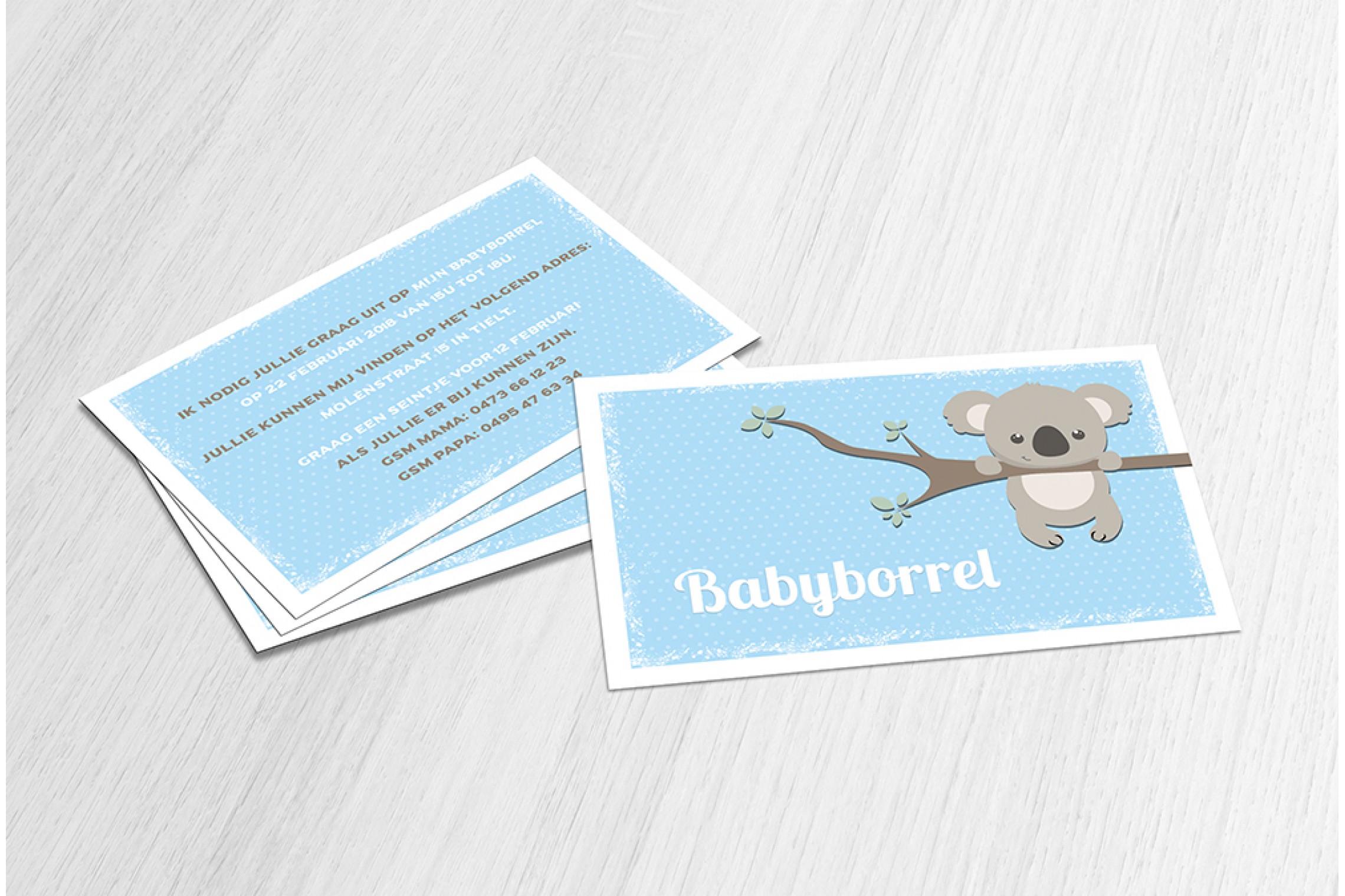 Lieve koalabeer